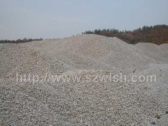 ��L(zh��ng)ʯ