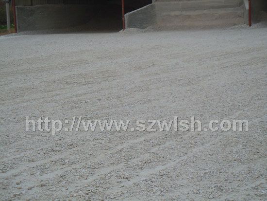 ��L(zh��ng)ʯ