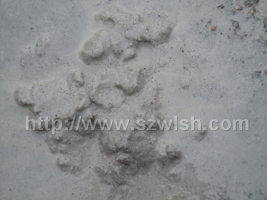 ��L(zh��ng)ʯ